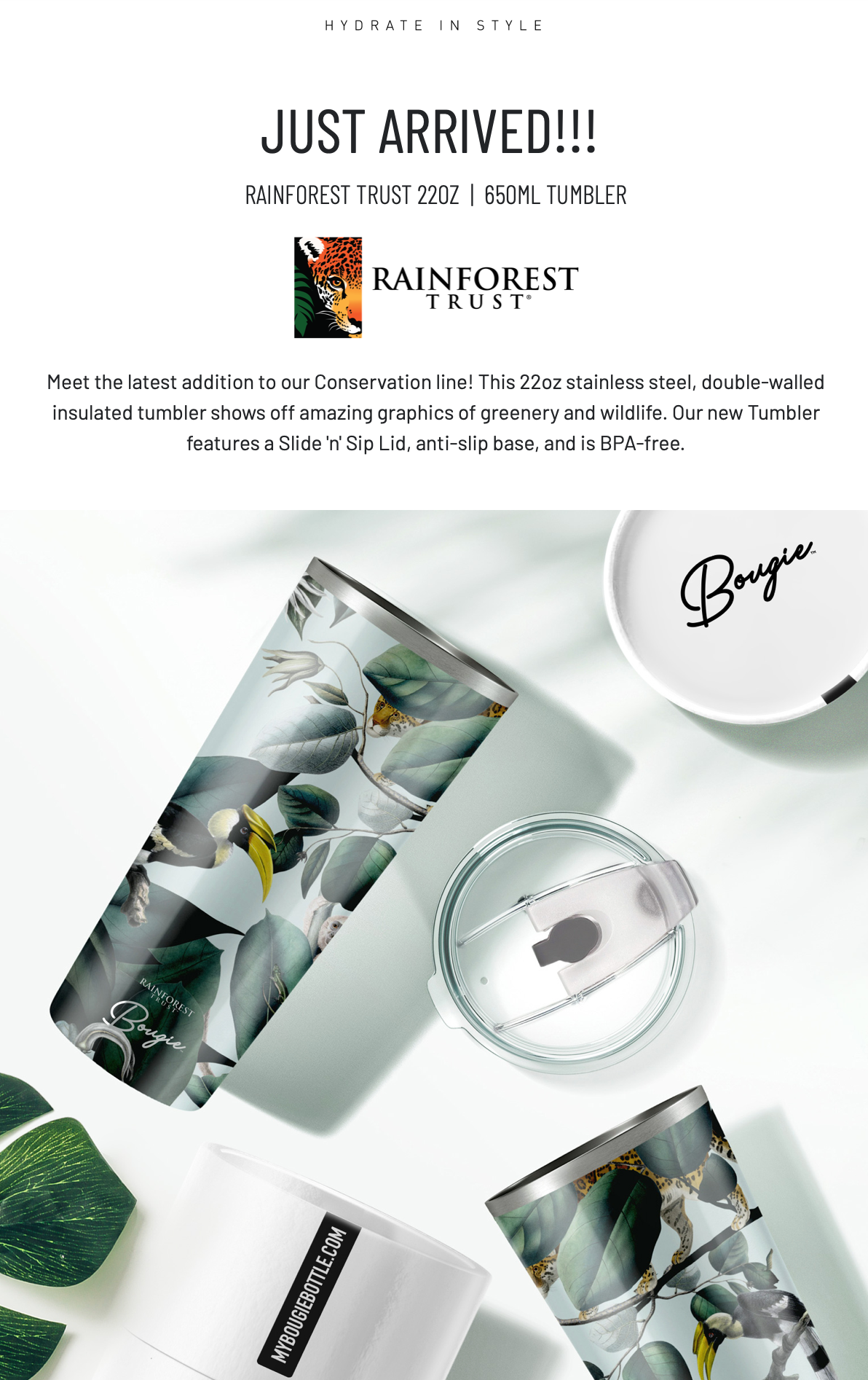 Rainforest Trust – Jungle Animal Insulated Water Bottle | 25