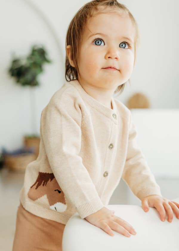 Horse Jacquard Sweater Knit Baby Cardigan (Organic Cotton)