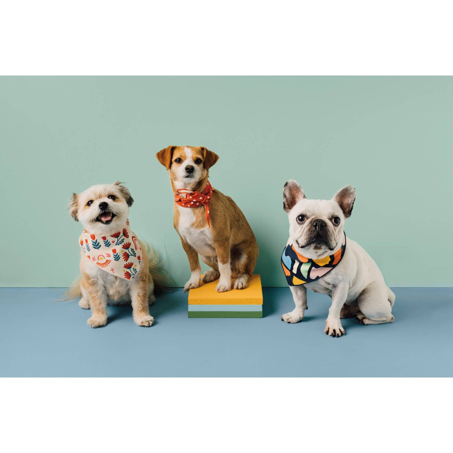 “Be Here Now” Dog Bandana Set of 2