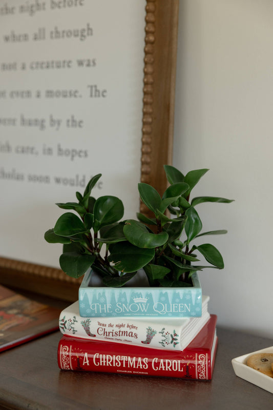 🎄 Stacked Book Planter – A Christmas Carol (Holiday Edition)