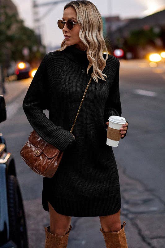 Chunky Turtleneck Sweater Dress - BLACK
