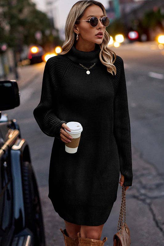 Chunky Turtleneck Sweater Dress - BLACK